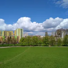 Zielona przestrzeń w parku Górczewska, z kolorowymi blokami mieszkalnymi w tle i białymi chmurami na błękitnym niebie.