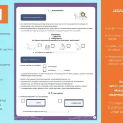 Graficzna umowa najmu okazjonalnego, bez lokalu zastępczego. Proste opcje wyboru, jasna struktura.