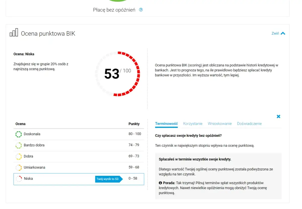 Ocena punktowa BIK to Twój scoring kredytowy. Wynik 53/100 oznacza niską ocenę, ale terminowa spłata kredytów może ją poprawić.